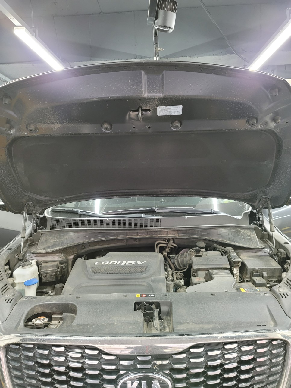 15_135019.jpg