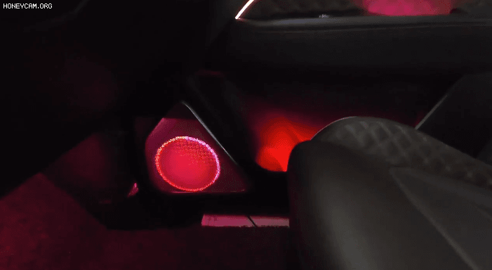 Honeycam2022-06-2216-23-24_164927.gif
