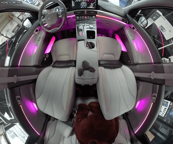 44_163916.gif
