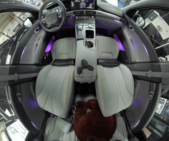 Honeycam2022-06-2716-32-55_163916.gif