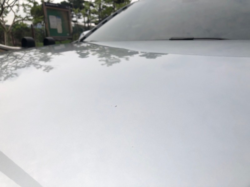 광명 양달로 / 랩핑 / BMW / 3시리즈
