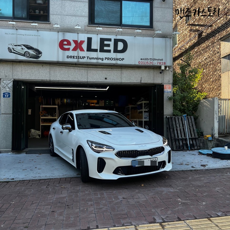 안산 상록구 / 엠비언트 / 기아 / 스팅어