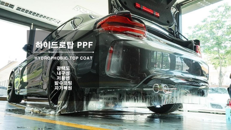 고양 일산서구 / PPF / 폭스바겐 / 파사트