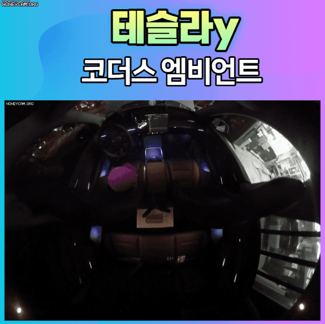 Honeycam2022-11-2414-40-22_144055.gif