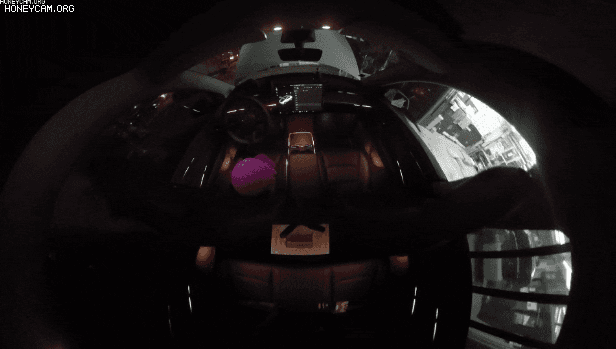Honeycam2022-11-2414-57-47_145858.gif