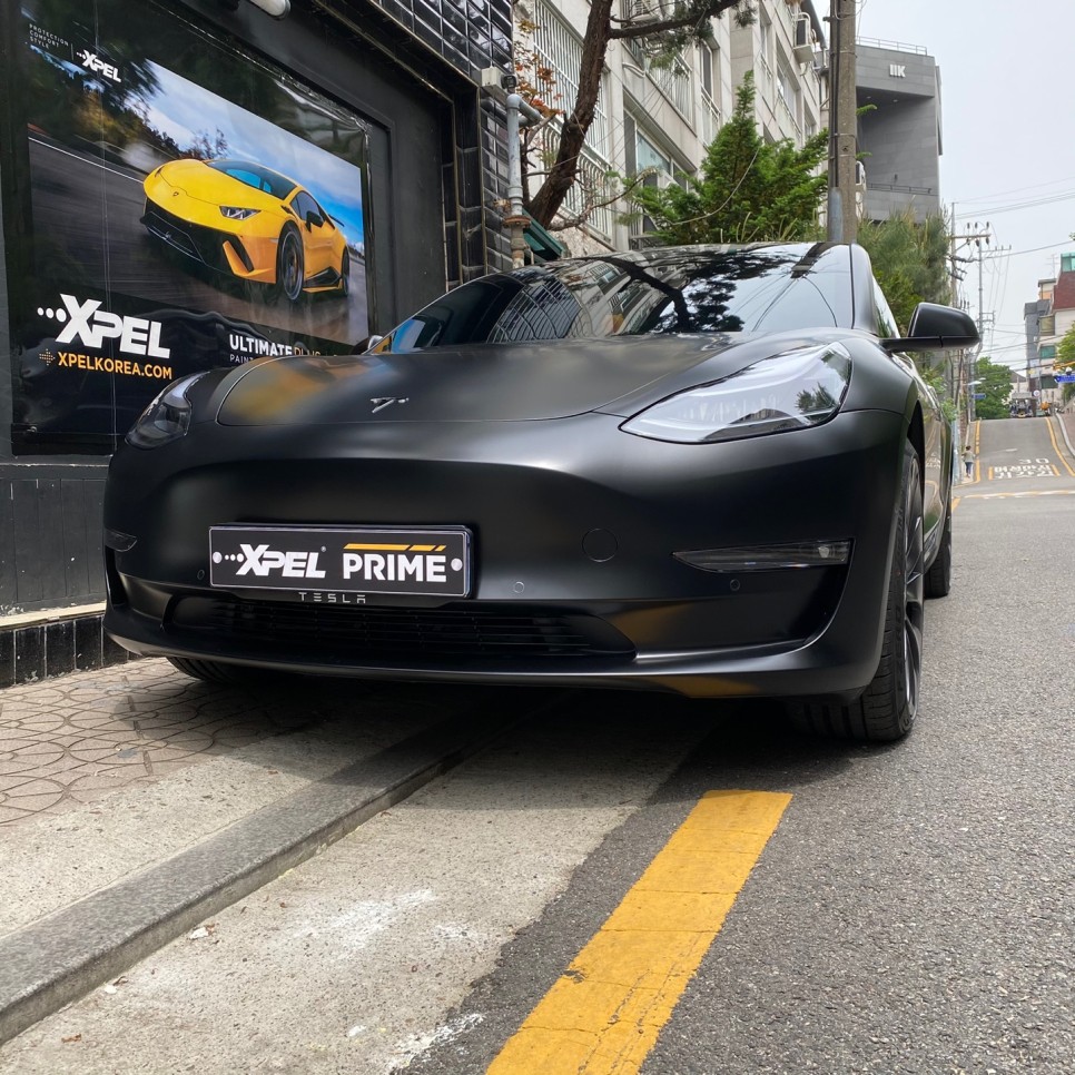 서울 서초구 / PPF / 테슬라 / 모델3