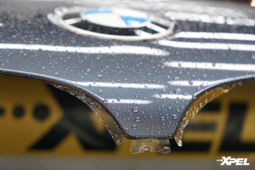 서울 서초구 / PPF / BMW / X5