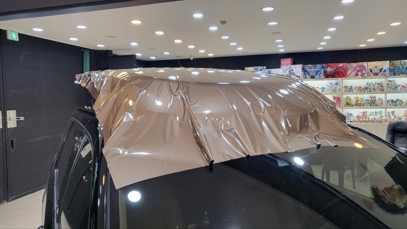 화성 동탄기흥로 / 랩핑 / 기아 / 카니발