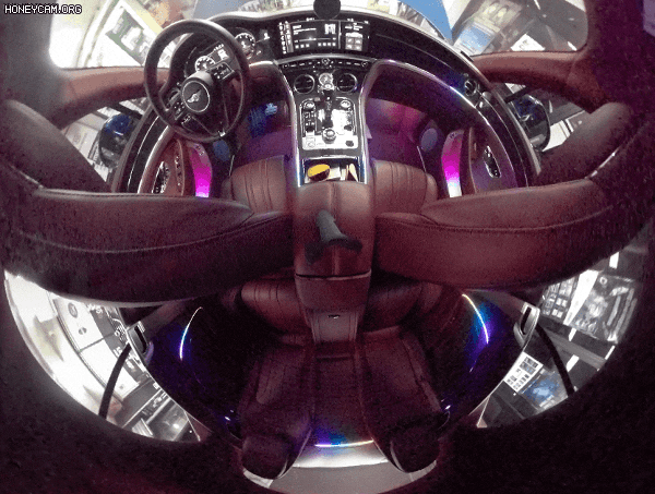 Honeycam2023-05-0914-20-10_142124.gif