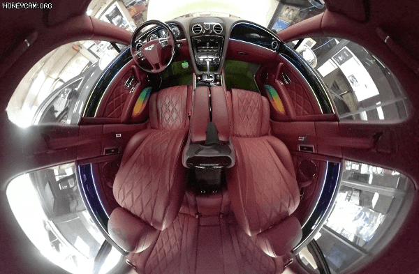 Honeycam2023-05-0914-36-34_145153.gif