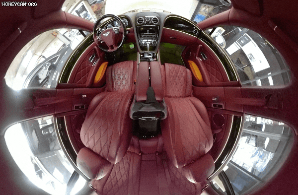 Honeycam2023-05-0914-38-55_145155.gif