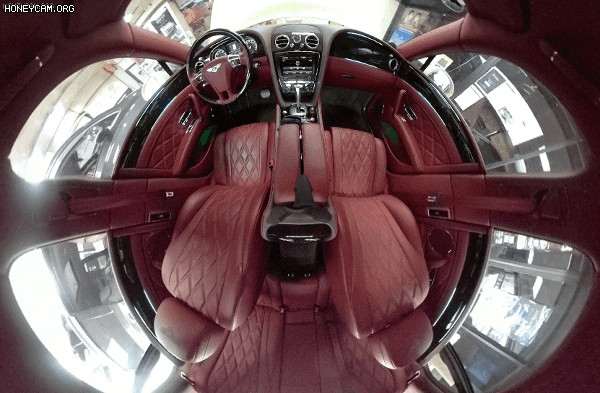 Honeycam2023-05-0914-42-33_145155.gif
