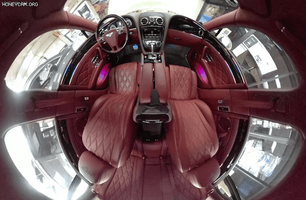 Honeycam2023-05-0914-43-14_145156.gif