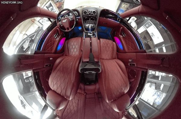 Honeycam2023-05-0914-43-56_145157.gif