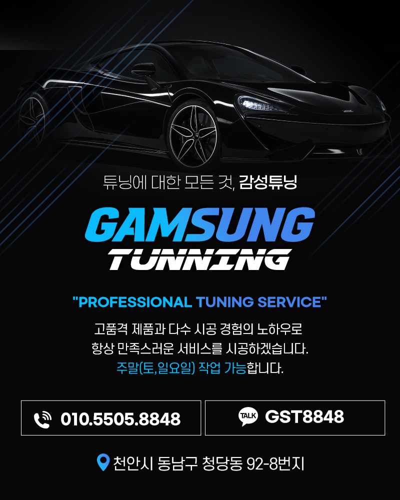 천안시 동남구 / 엠비언트 / 현대 / 팰리세이드