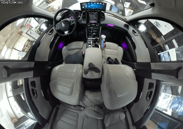 Honeycam2023-05-3015-03-59_150640.gif