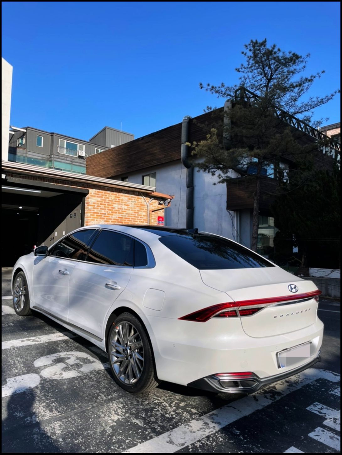 성남 판교 분당구 / 루프스킨 랩핑&라이트PPF / 현대 / 더 뉴 그랜저 IG