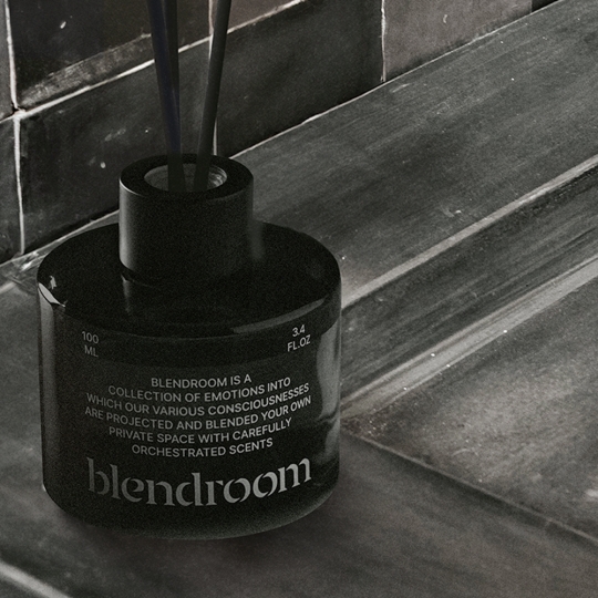 블랜드룸 생활용 방향제 디퓨저 100ml