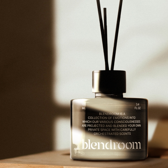 블랜드룸 생활용 방향제 디퓨저 100ml
