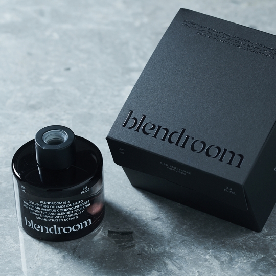 1+1 블랜드룸 생활용 방향제 디퓨저 100ml
