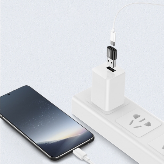 에어그립 조이룸 C타입 USB-A CtoA OTG 알루미늄 미니 변환 젠더, 2개