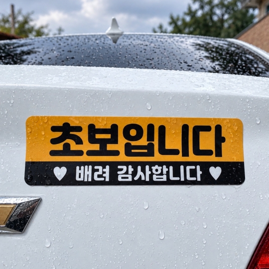 토드 초보운전 자석스티커 차량 자동차 탈부착 자석 반사 스티커